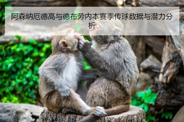 阿森纳厄德高与德布劳内本赛季传球数据与潜力分析